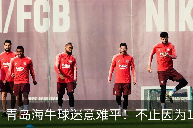 青岛海牛球迷意难平！不止因为1-5河南队，更多在于以下五点！